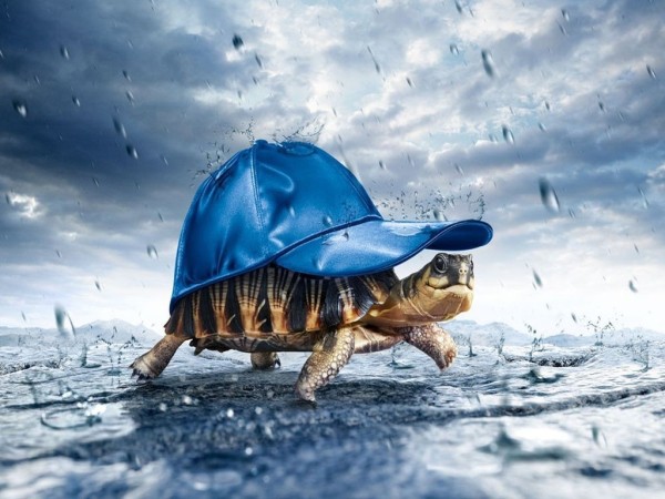 a_cubrirse_de_la_lluvia-1024x768