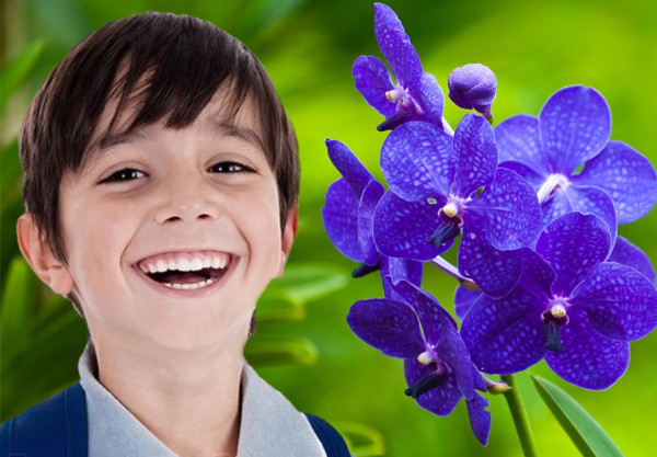 flor