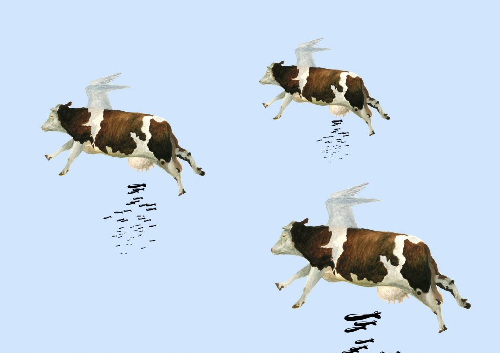 cow