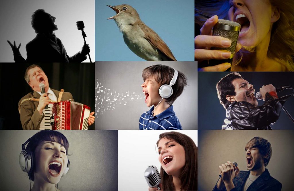 cantar